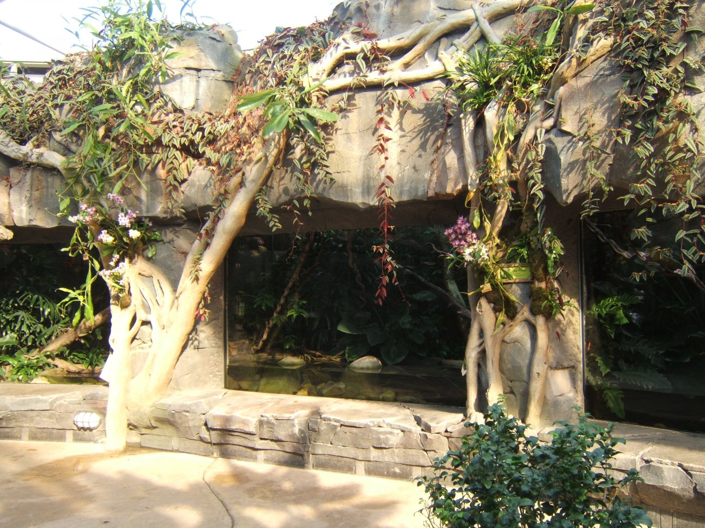 26/3/2017 Herp exhibits in Monsoon