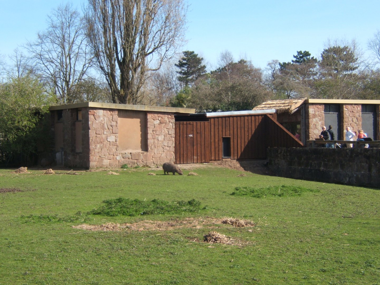 26/3/2017 New Giant Anteater House