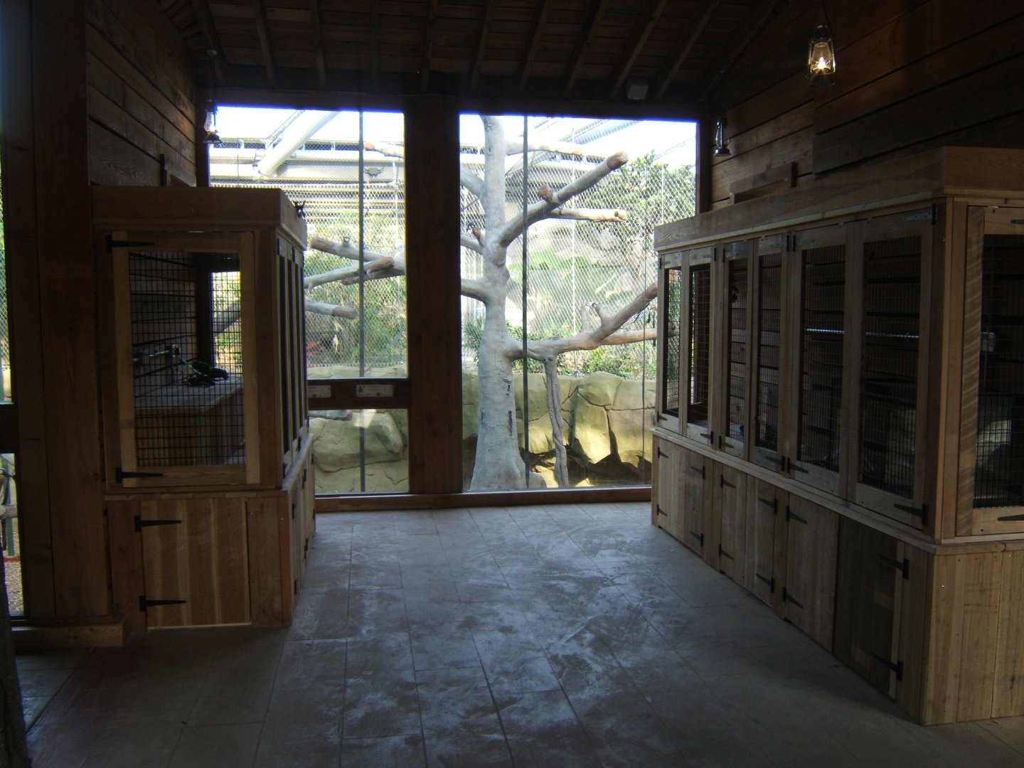 26/3/2017 new Invert exhibits in Monsoon