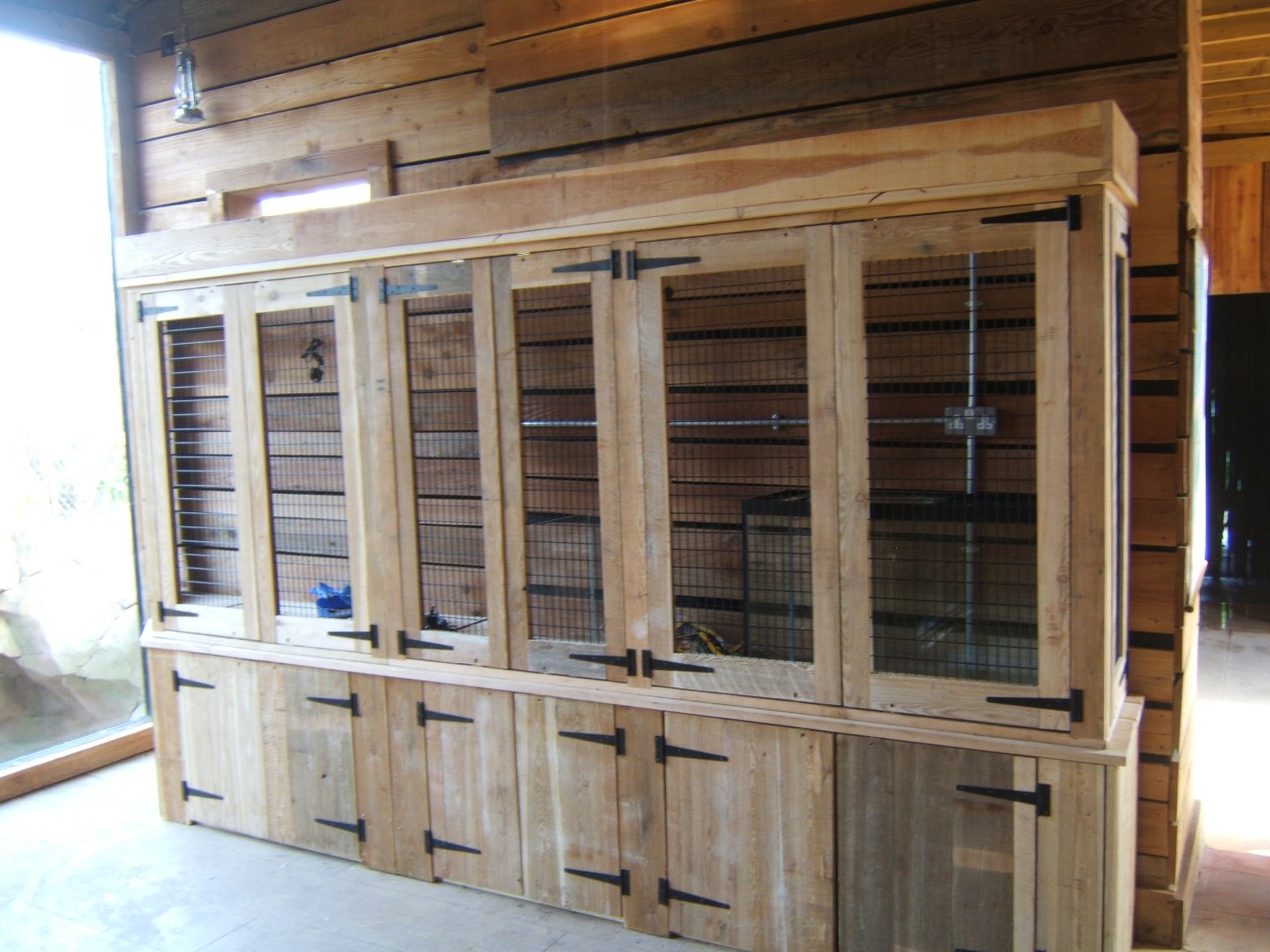 26/3/2017 new Invert exhibits in Monsoon