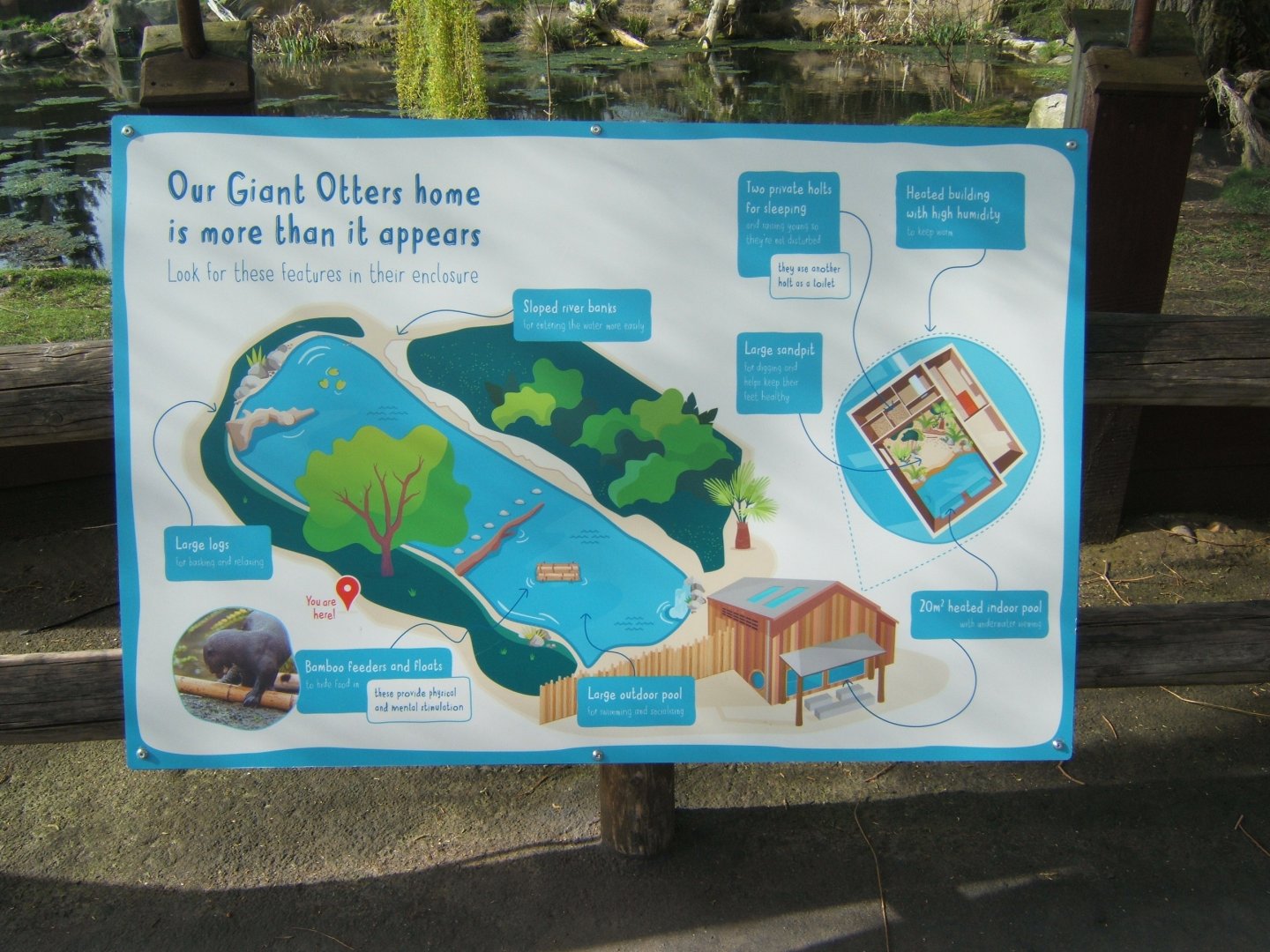 26/3/2017 Sign describing the set up of the Giant Otter enclosure