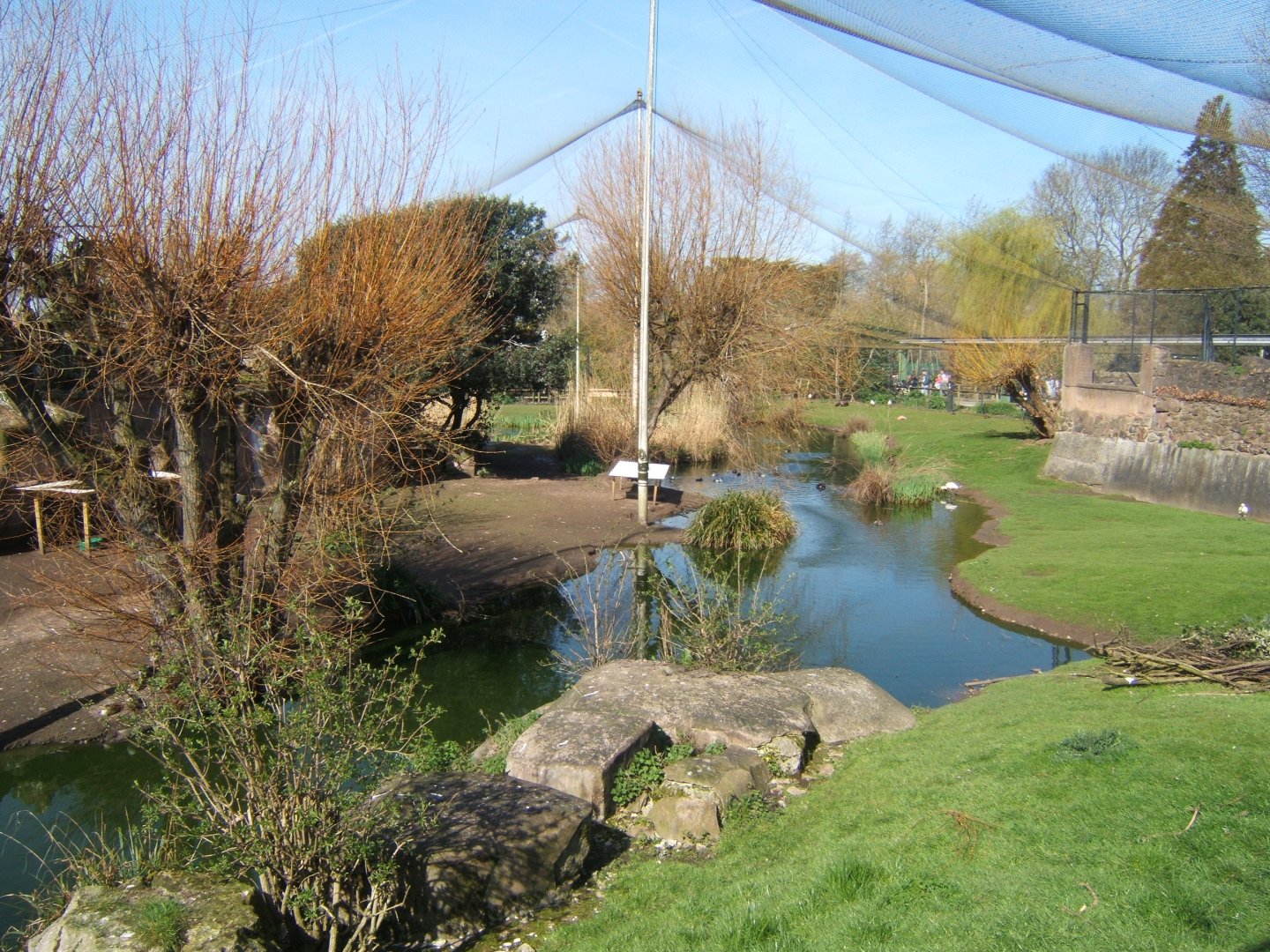 26/3/2017 View of Europe on the Edge Aviary