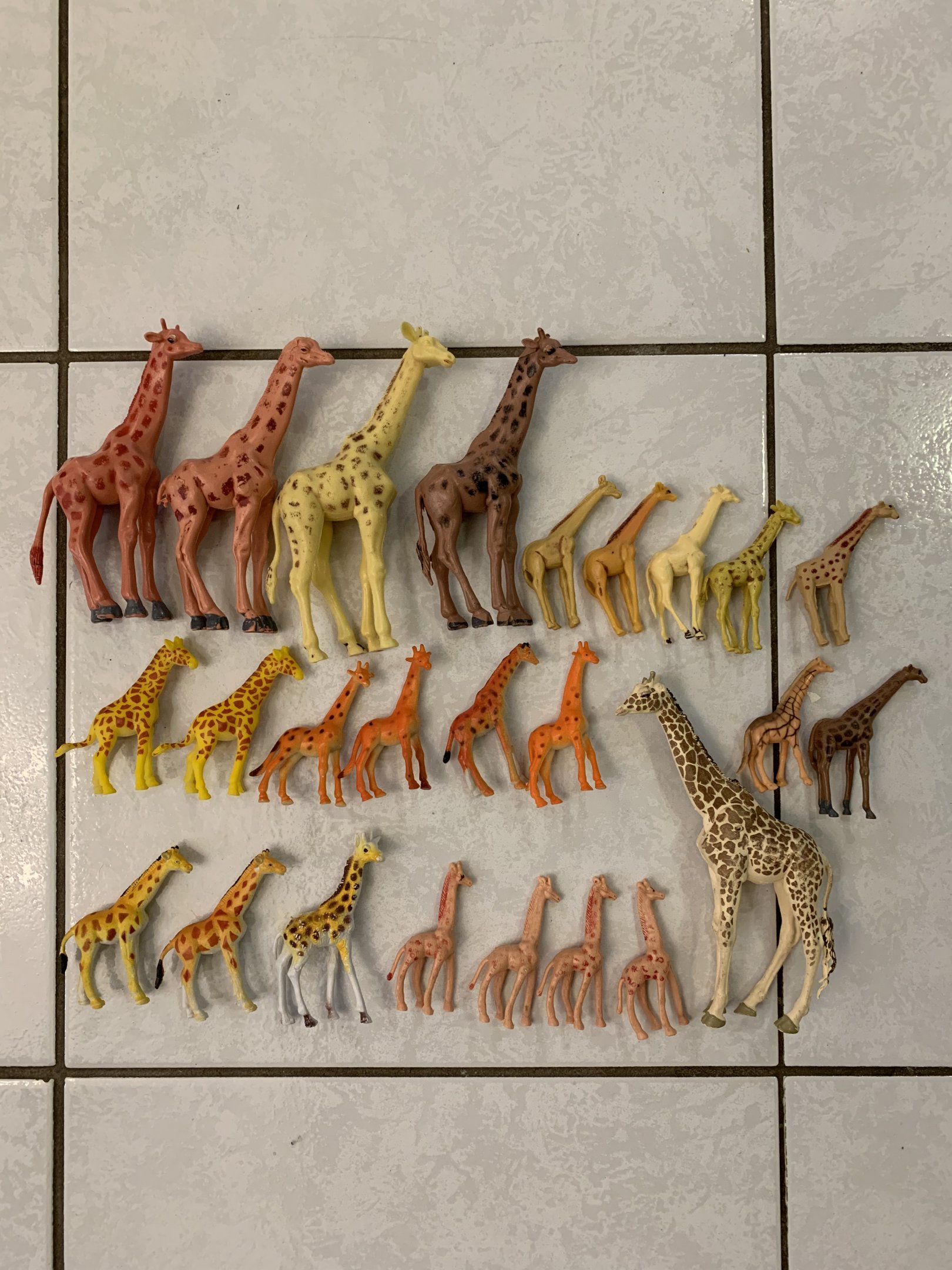 26 Giraffes