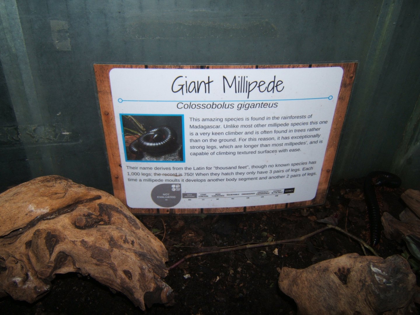 27/12/2016 Signage view