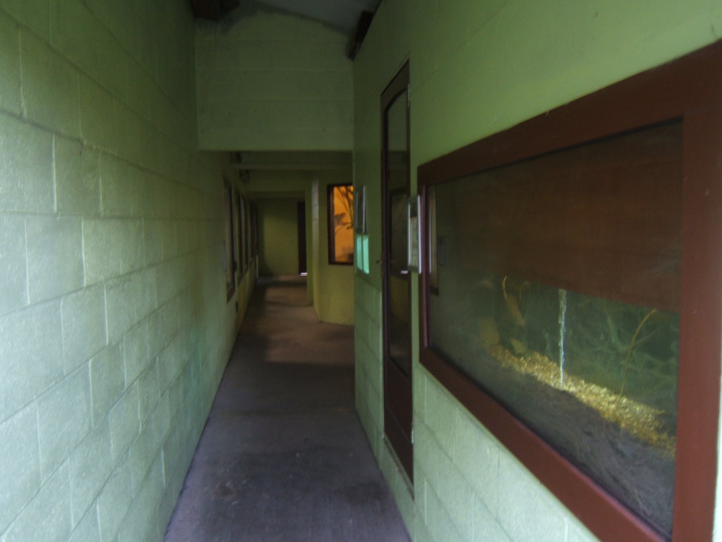 27/12/2016 View in the Reptile corridor