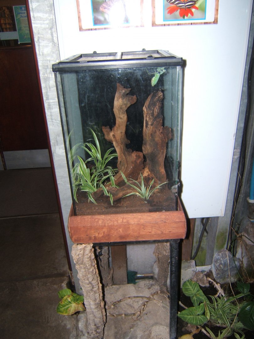 27/12/2016 view of new Mantis exhibit