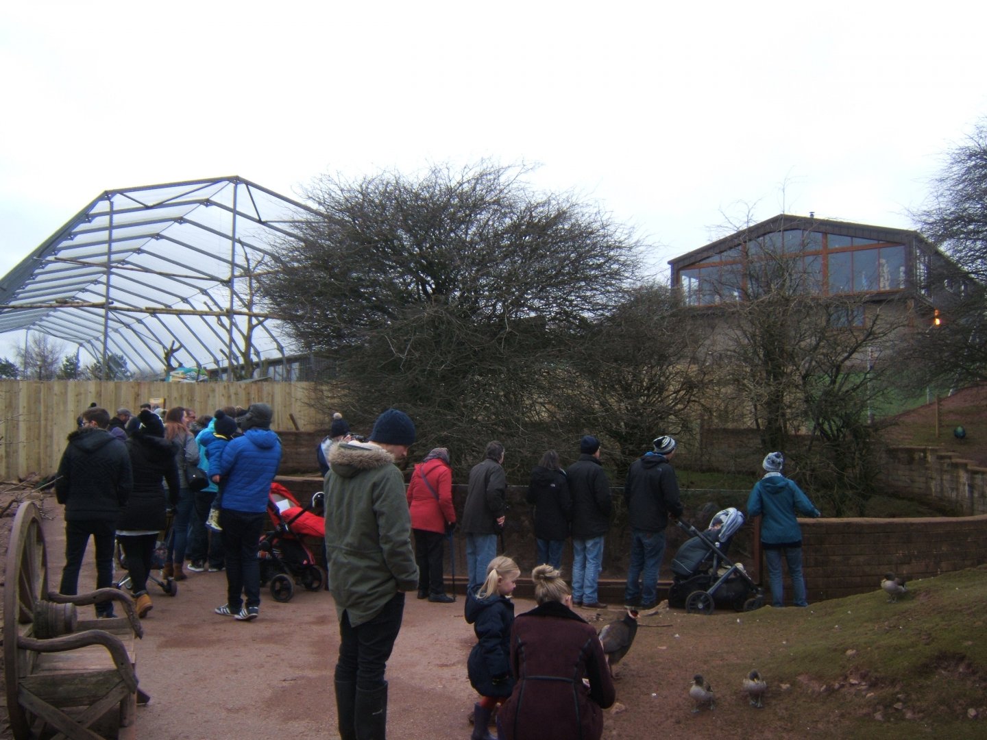 27/12/2016 view showing Gills house having been fenced off from the park