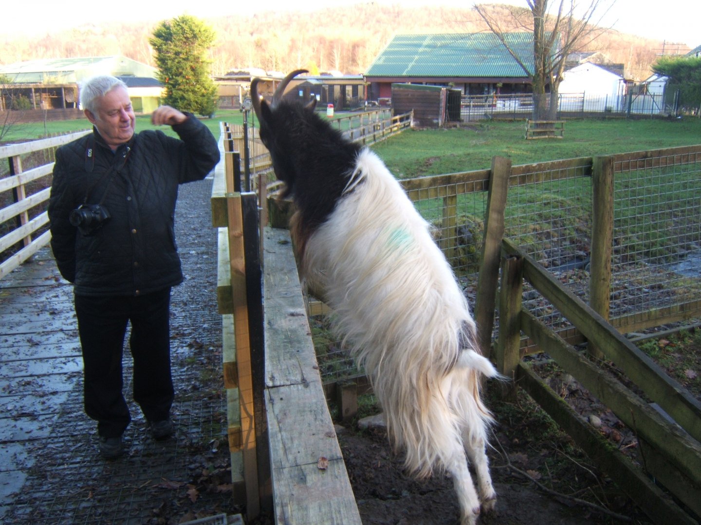 27/12/2016 You are kidding you are not a Bongo!!!