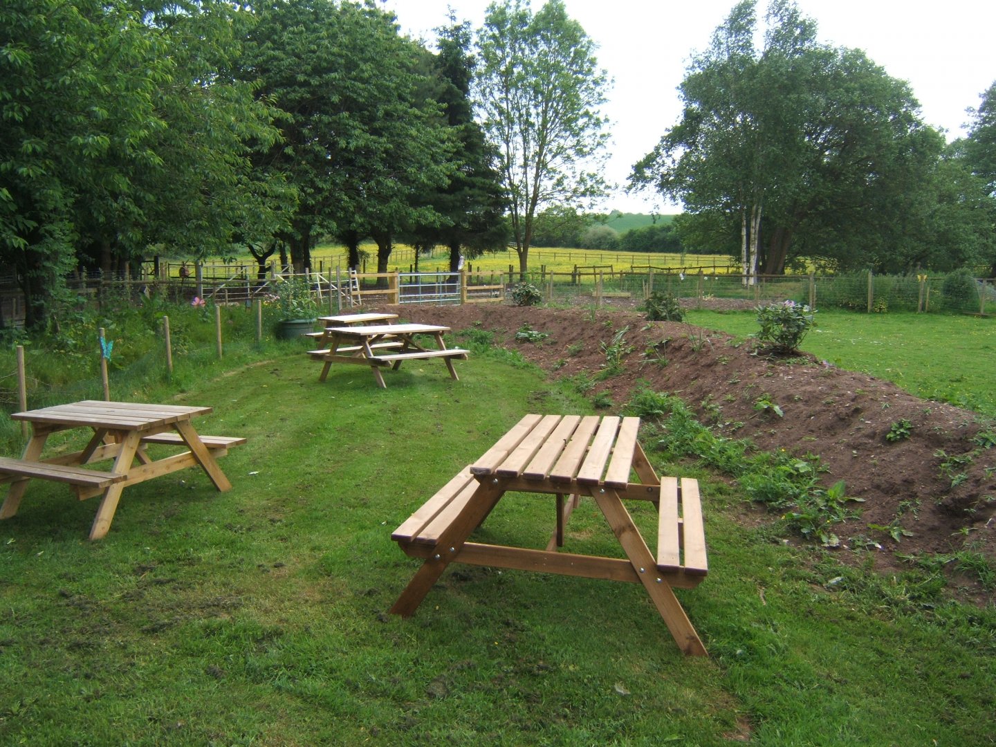 27/5/2017 View of extension