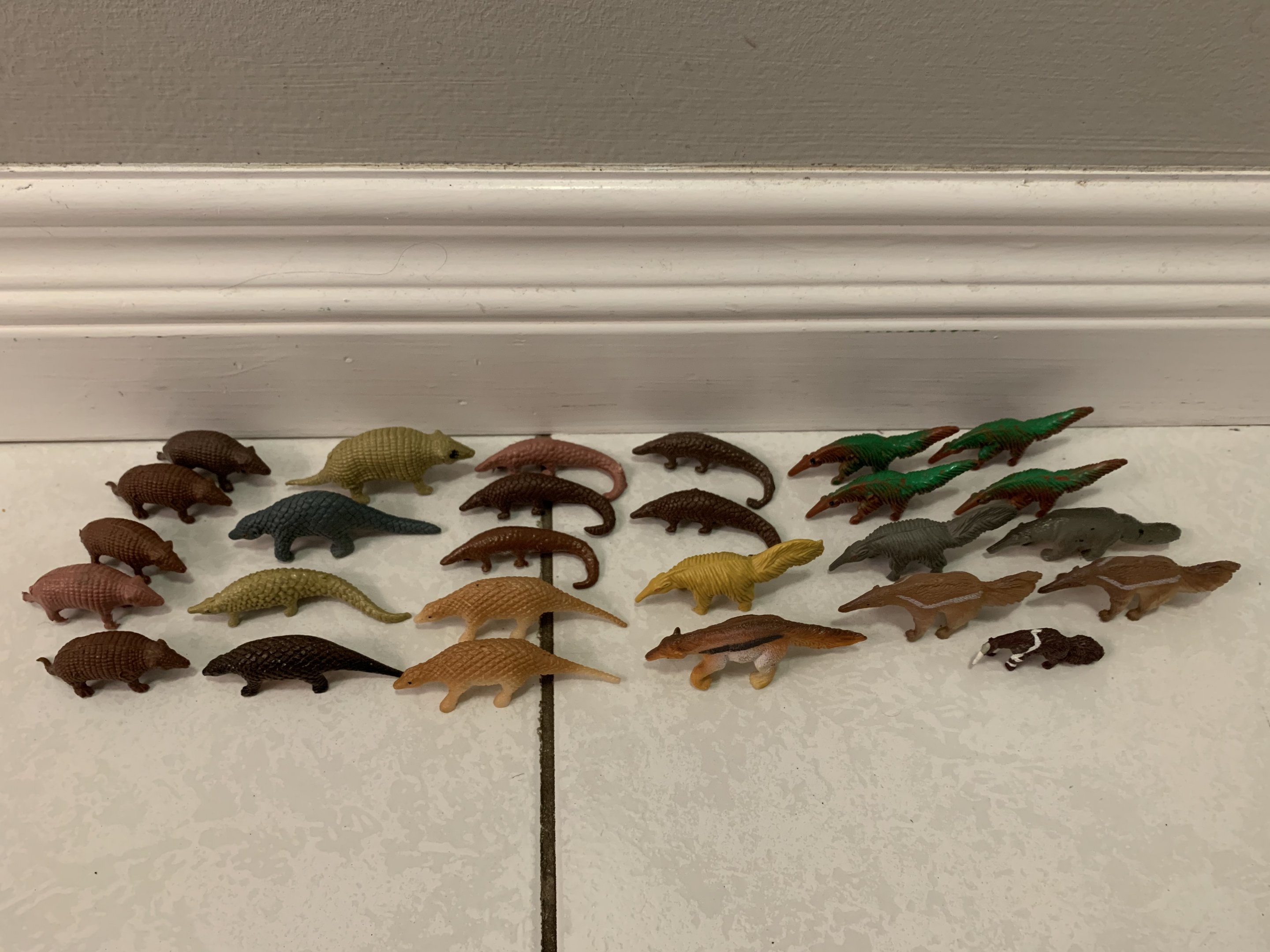 27 Armadillos + Pangolins + Giant Anteaters