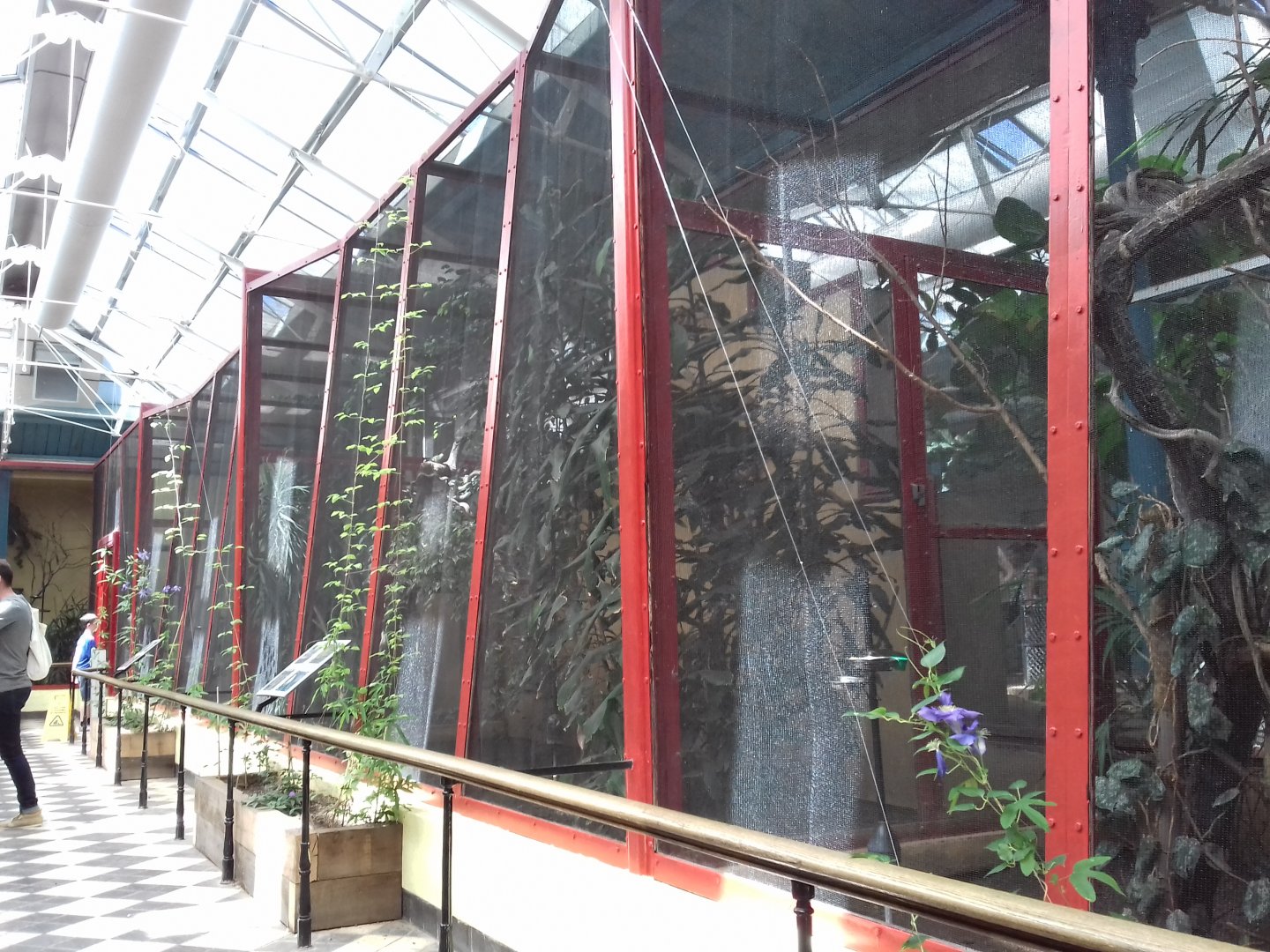 27th May 2017 - Blackburn Pavilion