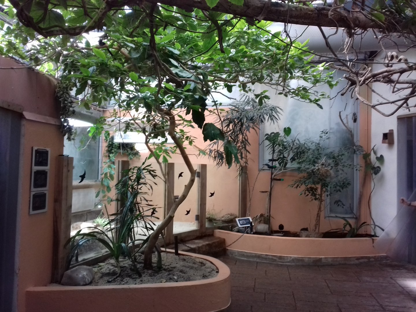 27th May 2017 - Blackburn Pavilion