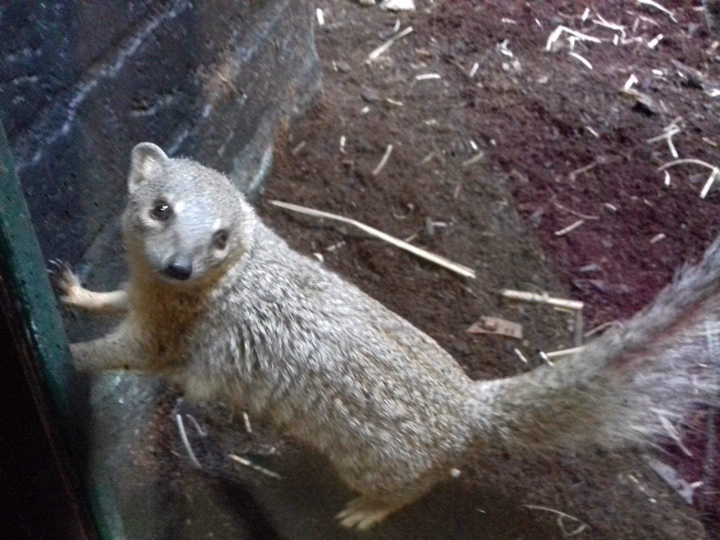 27th May 2017 - Boky boky