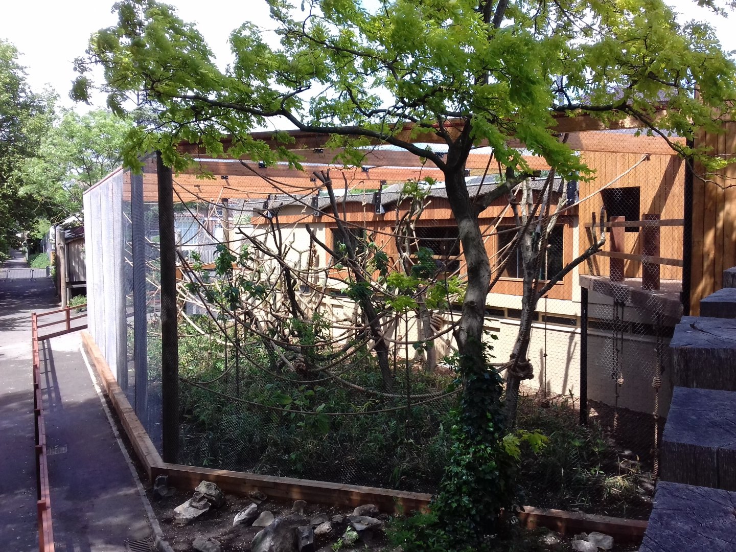 27th May 2017 - Gibbon enclosure