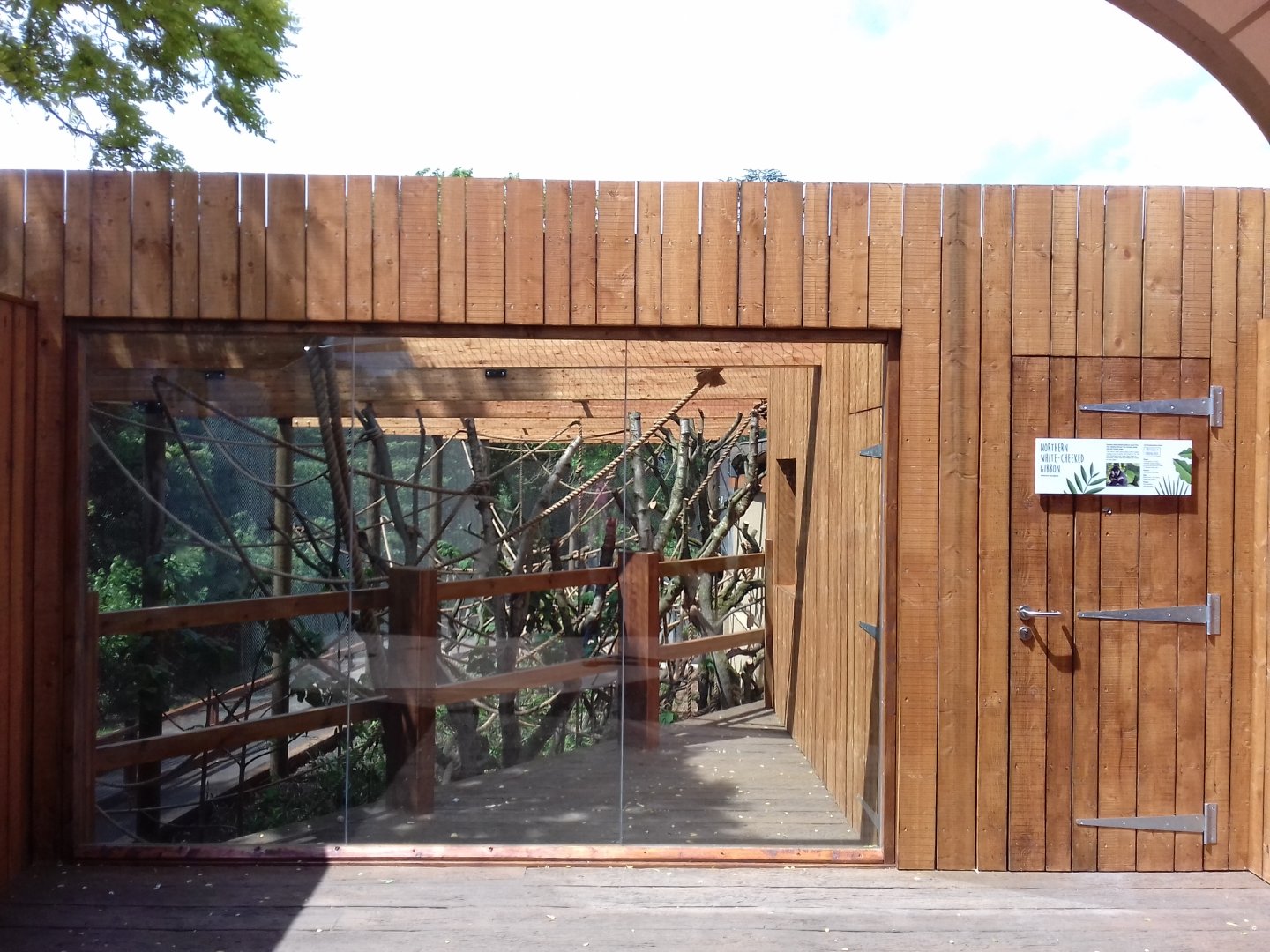 27th May 2017 - Gibbon enclosure