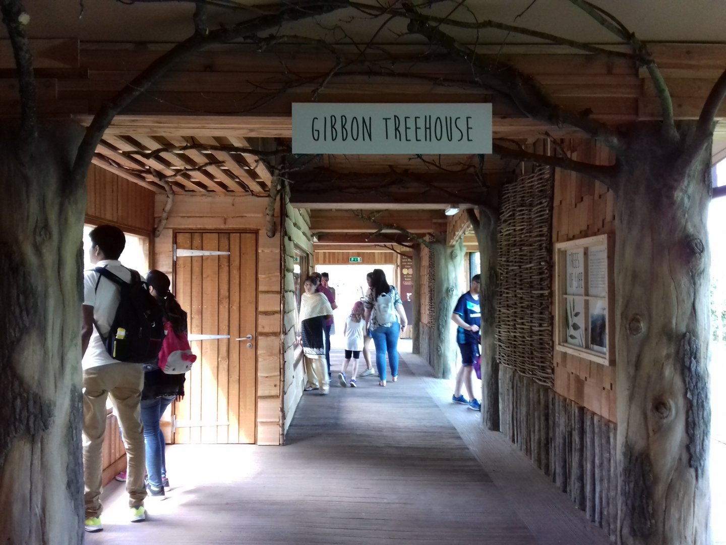 27th May 2017 - Gibbon enclosure