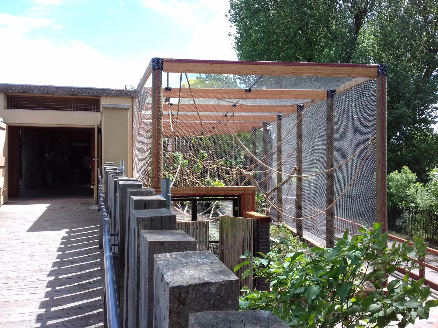 27th May 2017 - Gibbon enclosure