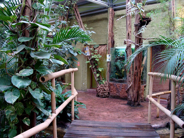 28.01.2012 Zoo Wrocław