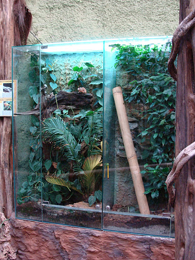 28.01.2012 Zoo Wroclaw