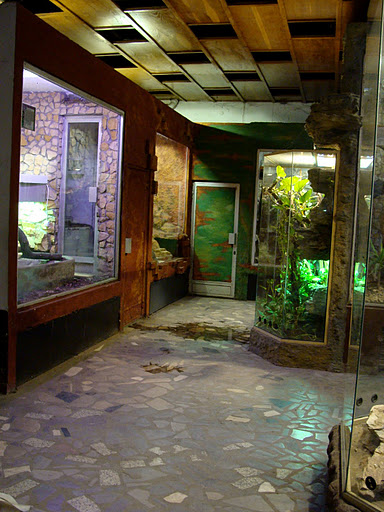 28.01.2012 Zoo Wroclaw