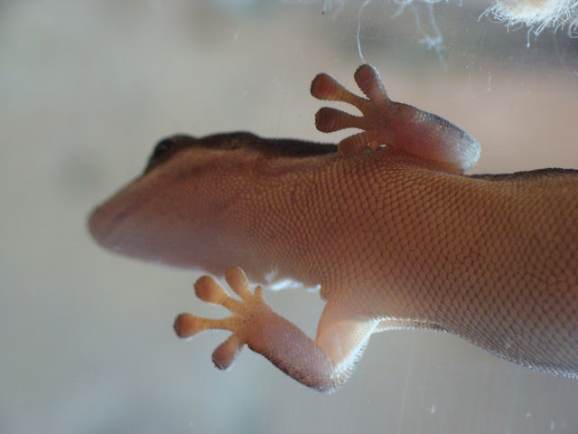 28.01.2012 Zoo Wroclaw