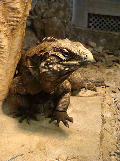 28.01.2012 Zoo Wroclaw