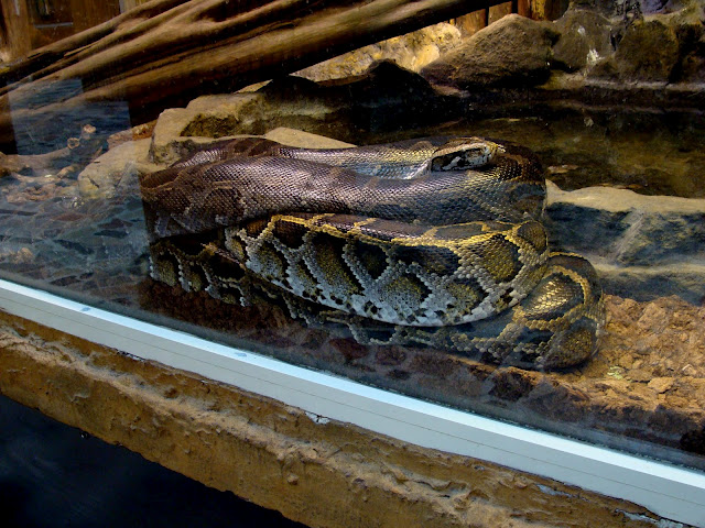 28.01.2012 Zoo Wroclaw