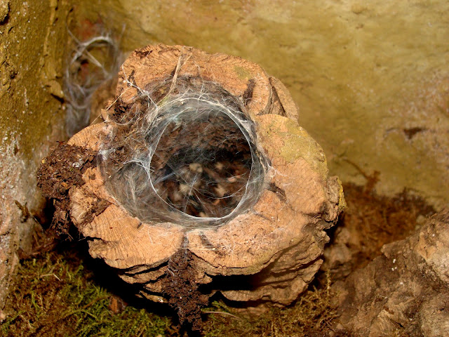 28.01.2012 Zoo Wroclaw