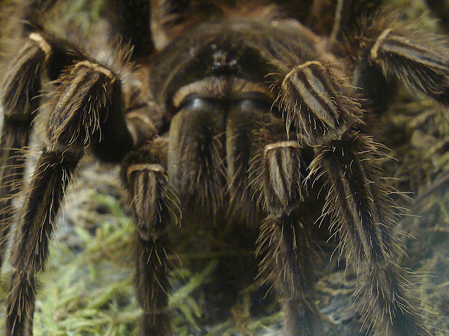 28.01.2012 Zoo Wroclaw