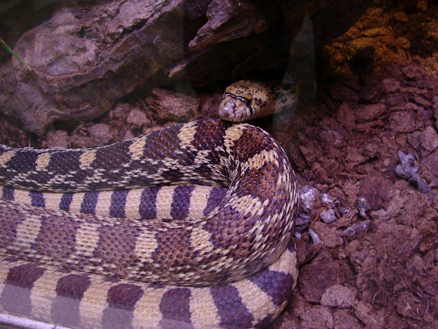 28.01.2012 Zoo Wroclaw