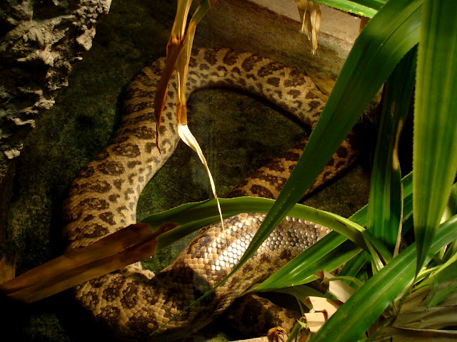 28.01.2012 Zoo Wroclaw