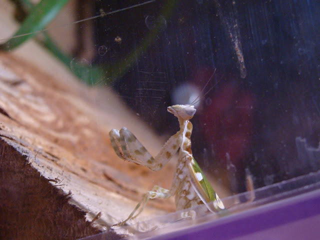 28.01.2012 Zoo Wroclaw