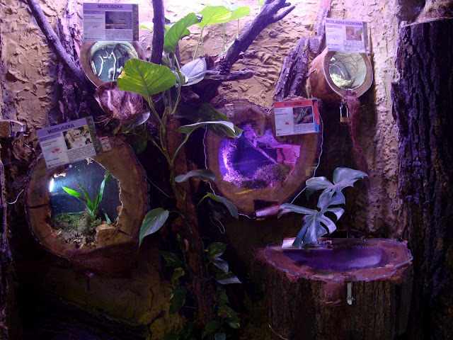 28.01.2012 Zoo Wroclaw