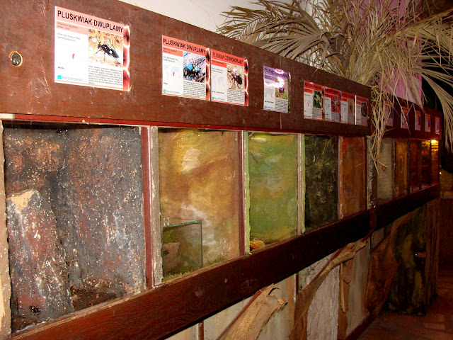 28.01.2012 Zoo Wroclaw