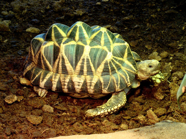 28.01.2012 Zoo Wroclaw