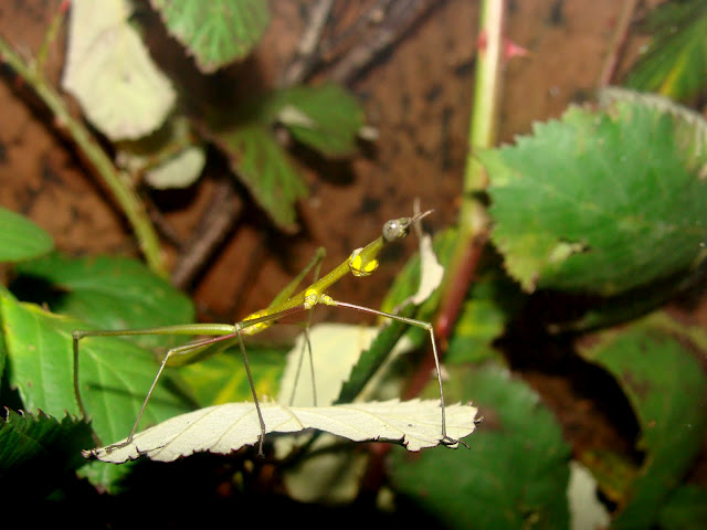 28.01.2012 Zoo Wroclaw