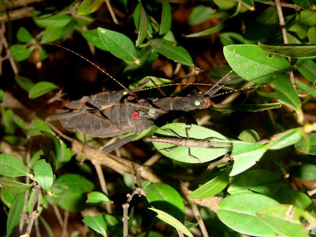 28.01.2012 Zoo Wroclaw