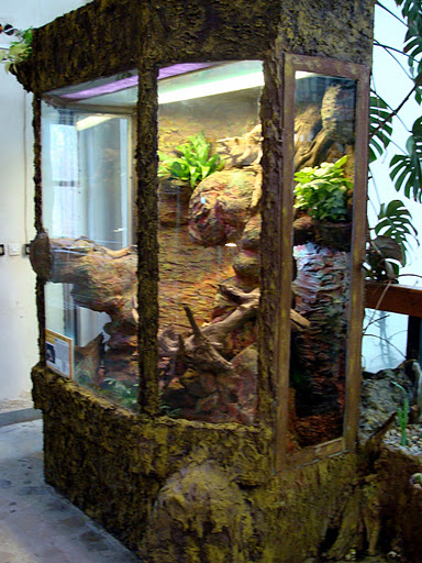 28.01.2012 Zoo Wroclaw