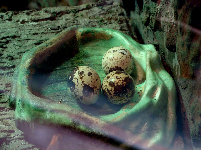 28.01.2012 Zoo Wroclaw