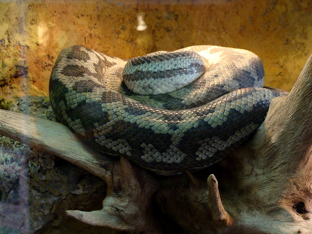 28.01.2012 Zoo Wroclaw