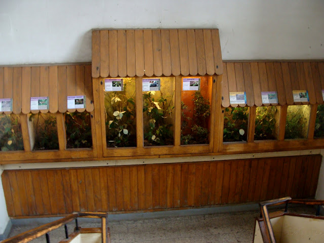 28.01.2012 Zoo Wroclaw