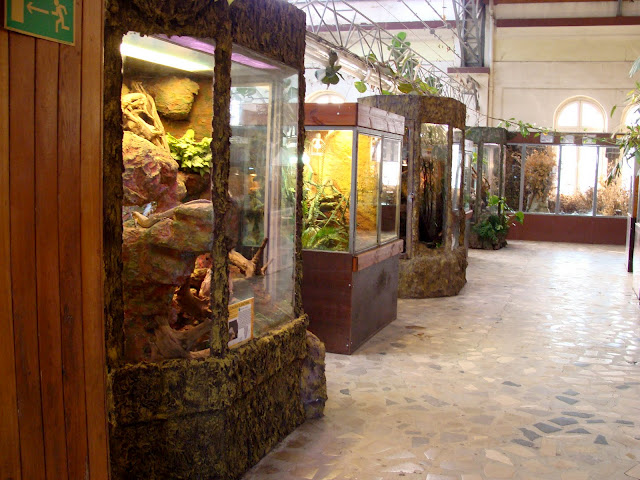 28.01.2012 Zoo Wroclaw