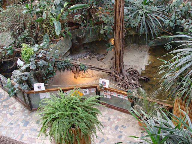 28.01.2012 Zoo Wroclaw