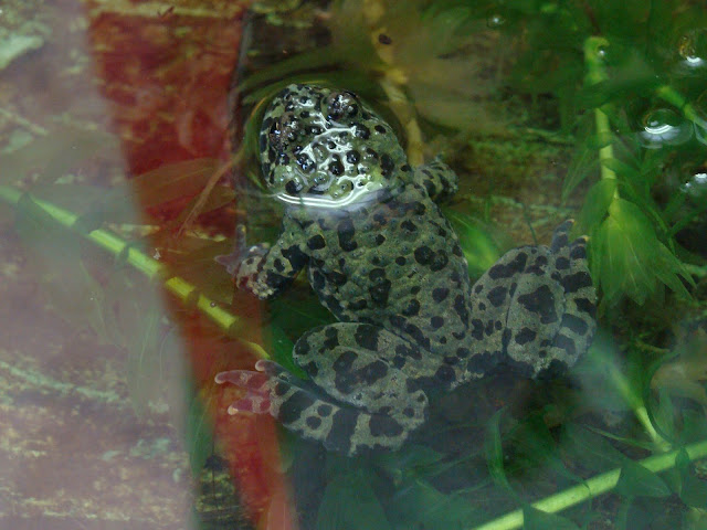 28.01.2012 Zoo Wroclaw