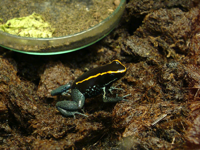 28.01.2012 Zoo Wroclaw