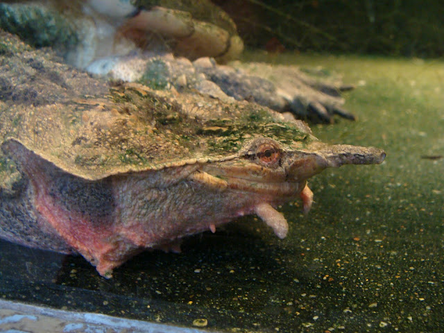 28.01.2012 Zoo Wroclaw