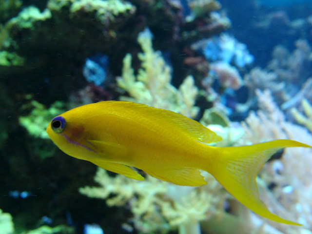 28.01.2012 Zoo Wroclaw