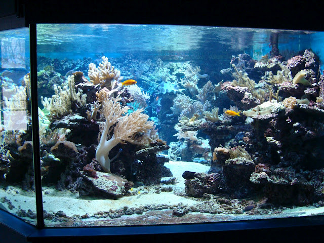 28.01.2012 Zoo Wroclaw