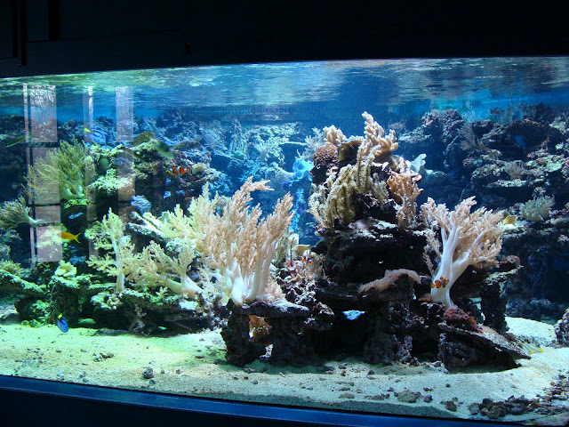 28.01.2012 Zoo Wroclaw