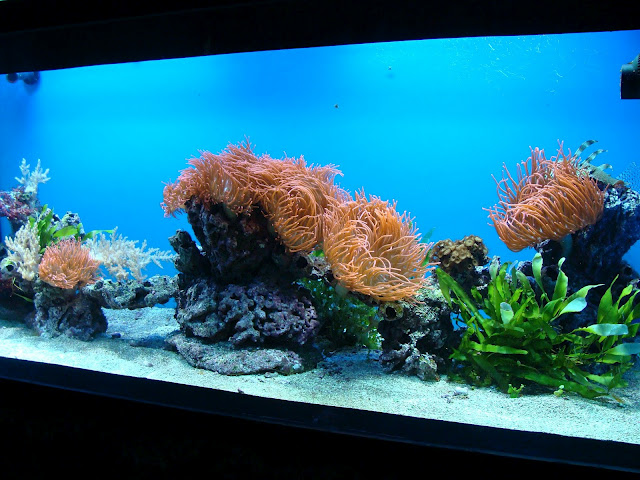 28.01.2012 Zoo Wroclaw